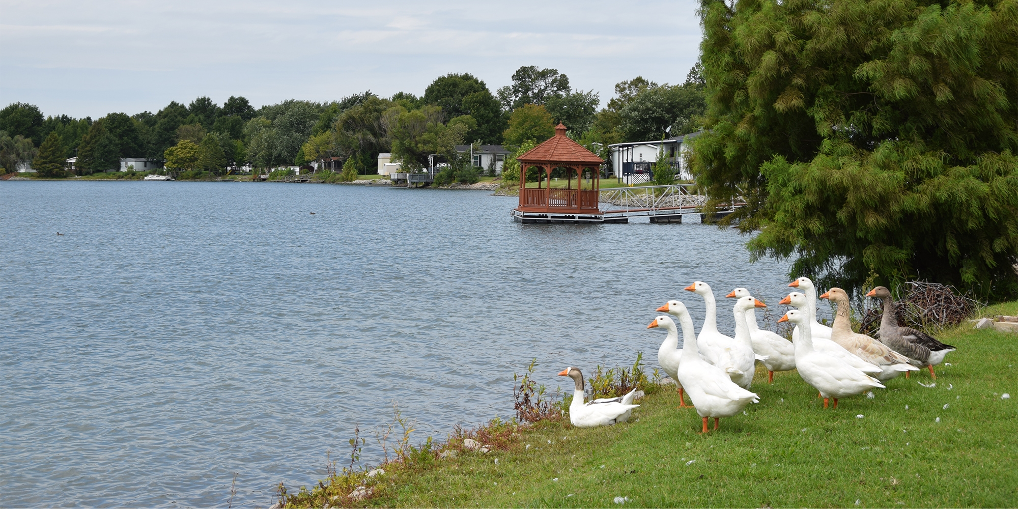 Mallard Lake